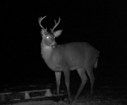 Wintertime on the range